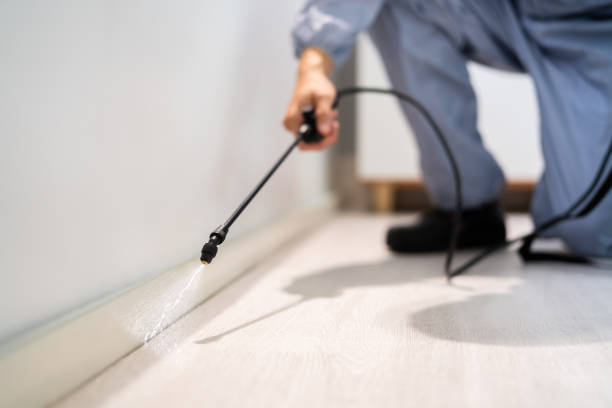 Licensed Termite Control service in Coleman, MI - Nex Pest Control