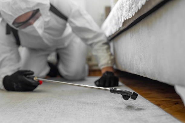 Professional Termite Control technician working in Coleman, MI