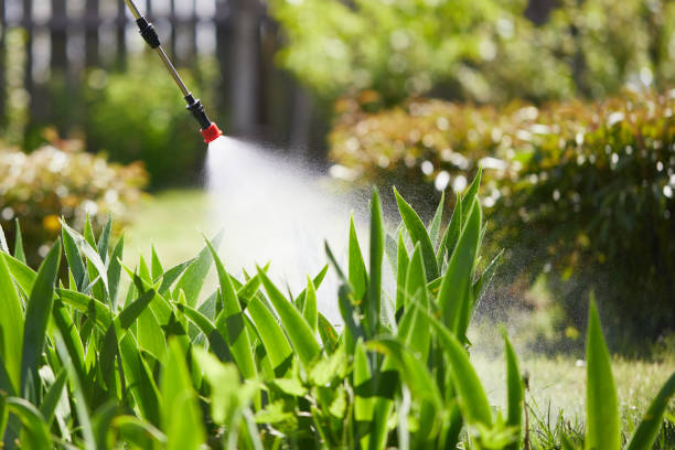 24/7 Emergency Termite Control experts in Coleman, MI