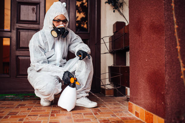 Reliable Termite Control contractor in Coleman, MI by Nex Pest Control
