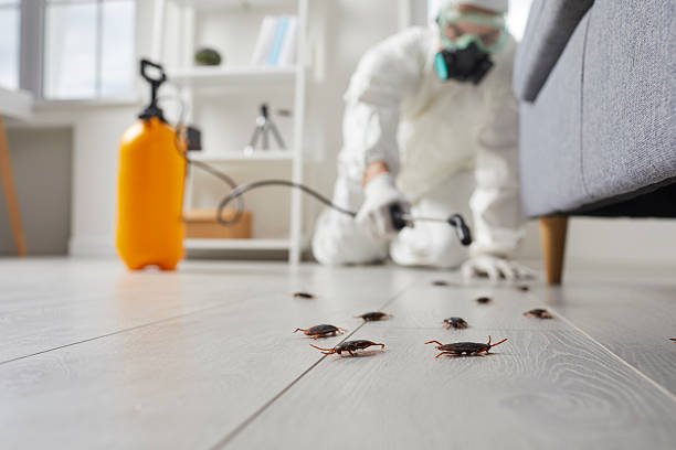 Affordable Termite Control solutions in Coleman, MI