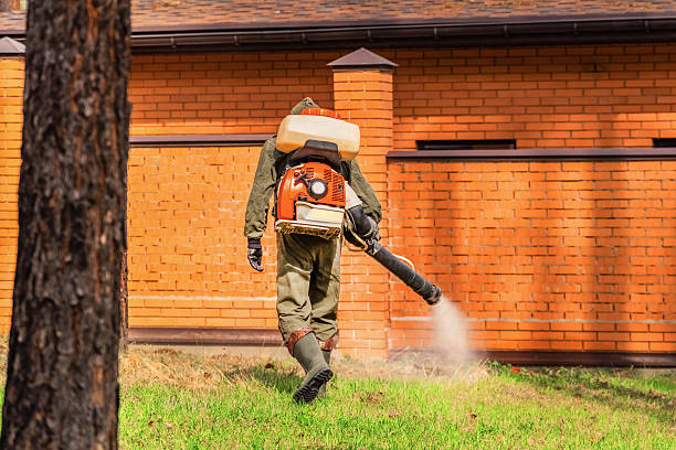 Top rated local Termite Control specialists in Coleman, MI